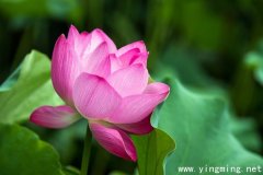 岳麓區(qū)網(wǎng)站的建設(shè)如何進行